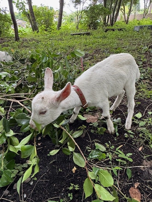 新しいプロジェクトメンバーが加わりました！