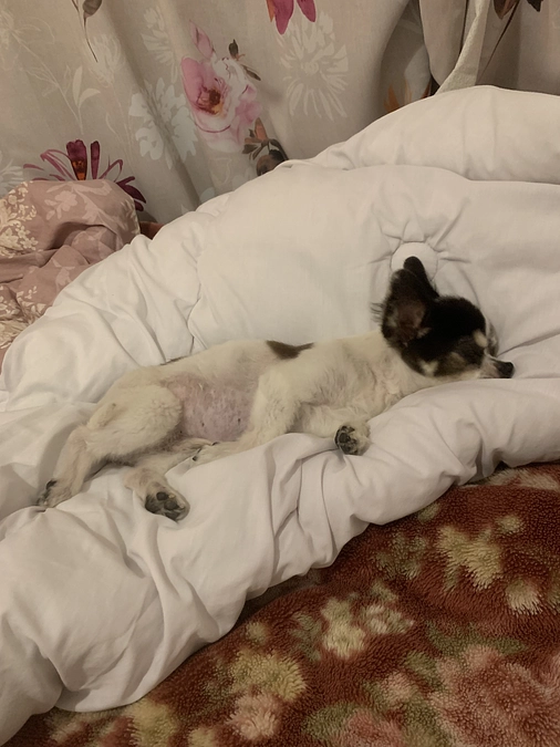 下痢、嘔吐・・・