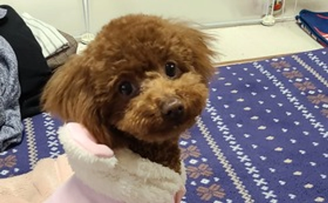 感謝の気持ち１