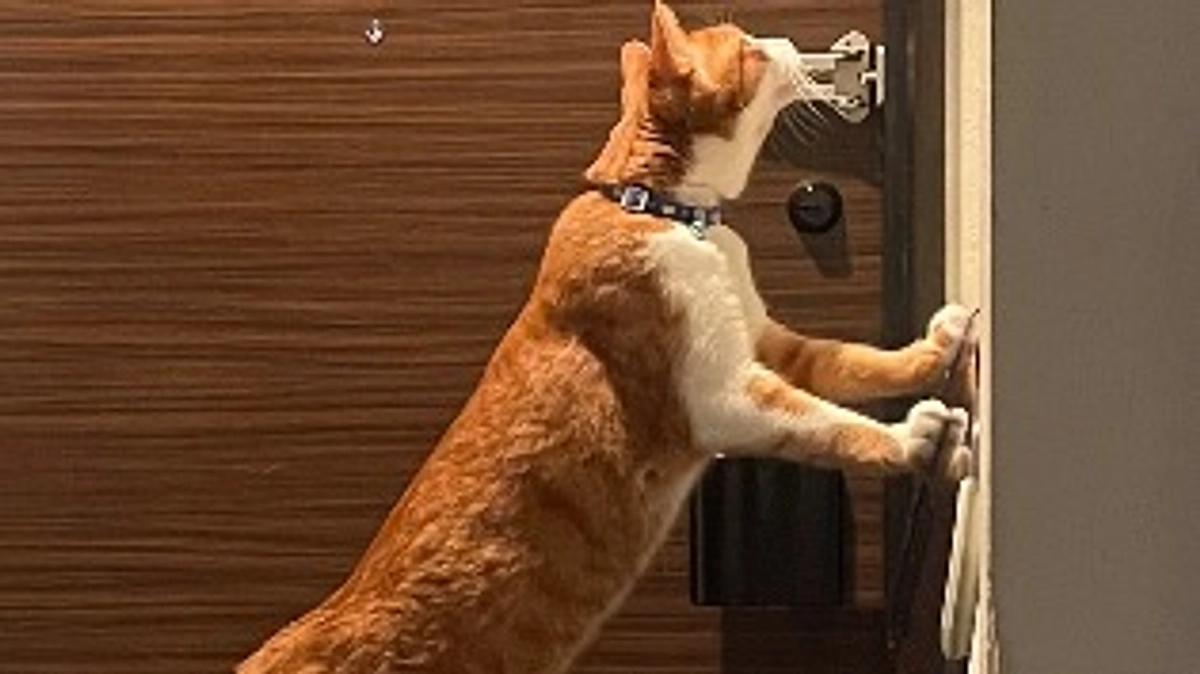 残り15日。今日のぷちと、少し過去のお話。