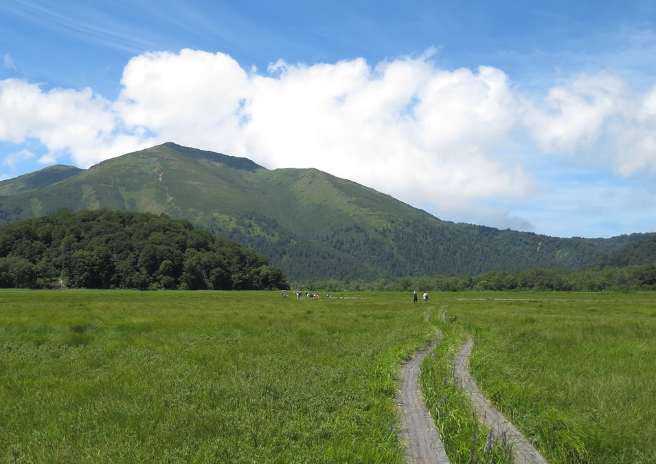 朝日新聞夕刊（全国版）に当プロジェクトの関連記事掲載