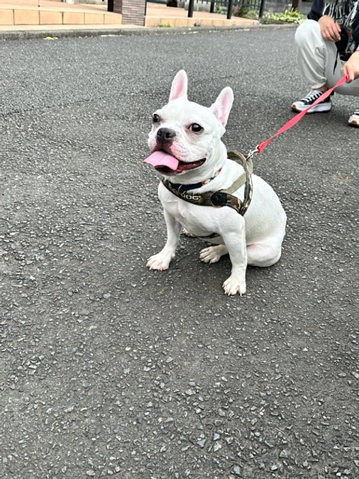 初めてのドッグランへ