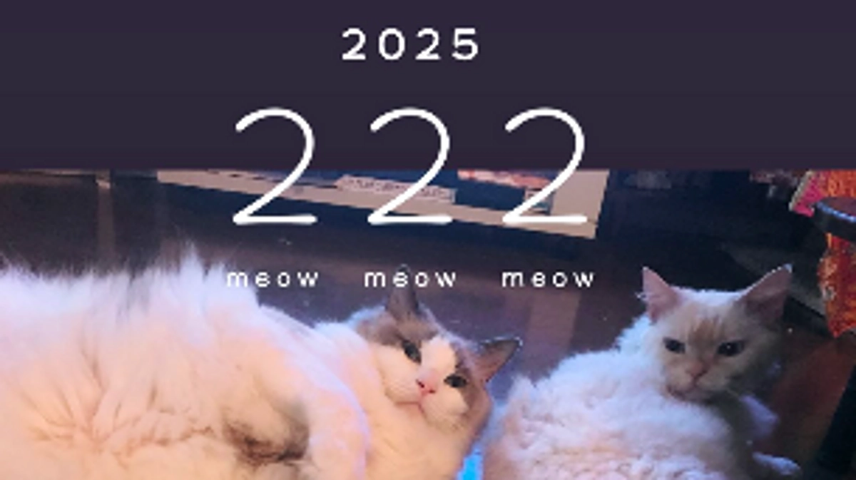 0222 ソラの先月の血液検査結果とお薬貰いに行きました