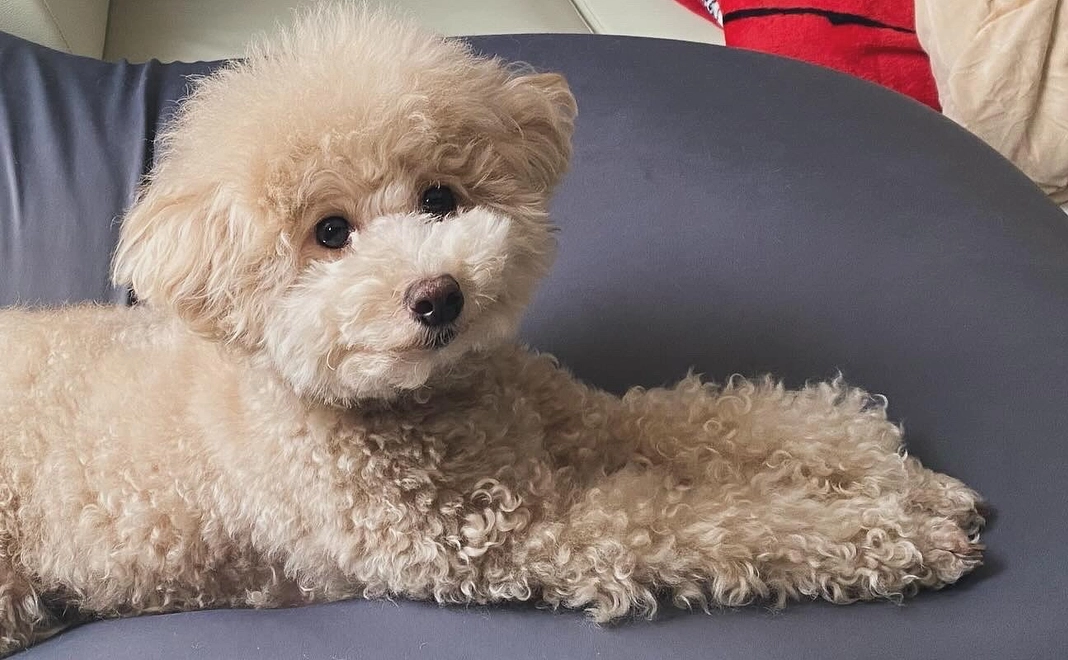 感謝のメッセージ２（写真付き）