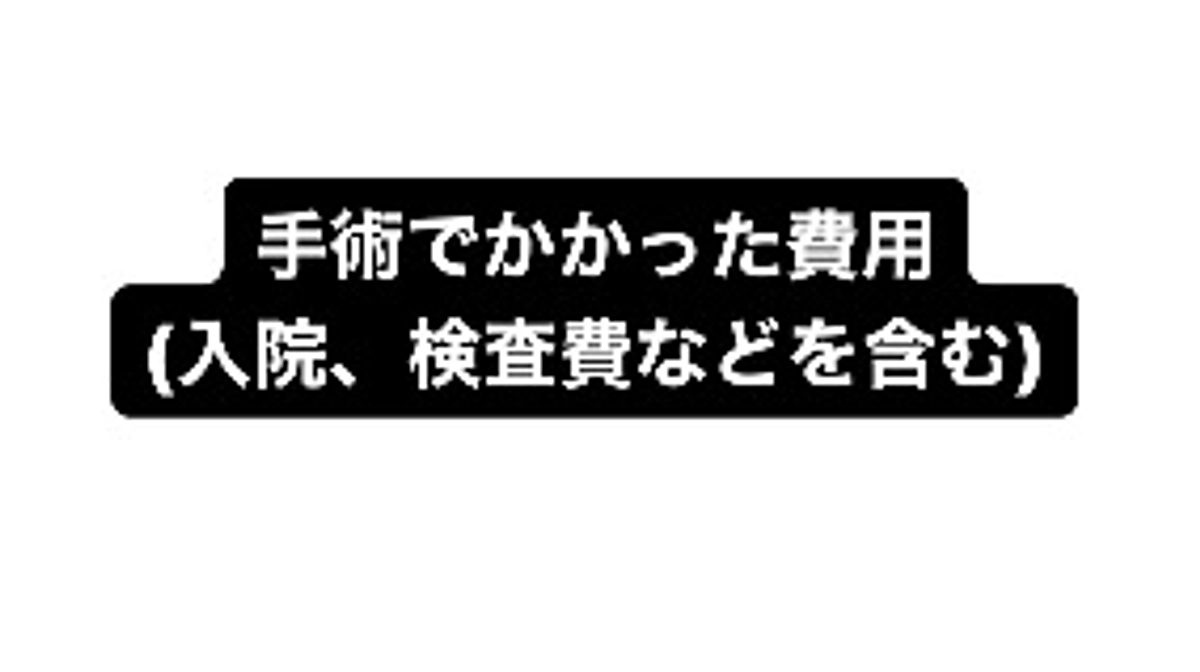 手術費用の明細を報告していませんでした💦