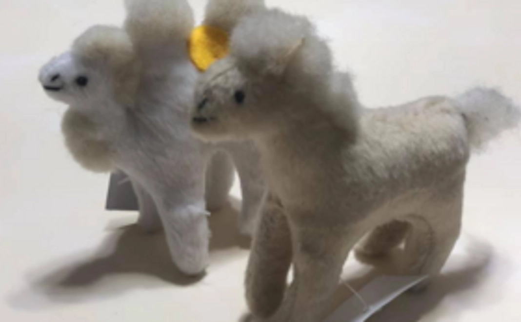 [ご協力をお願いいたします。]