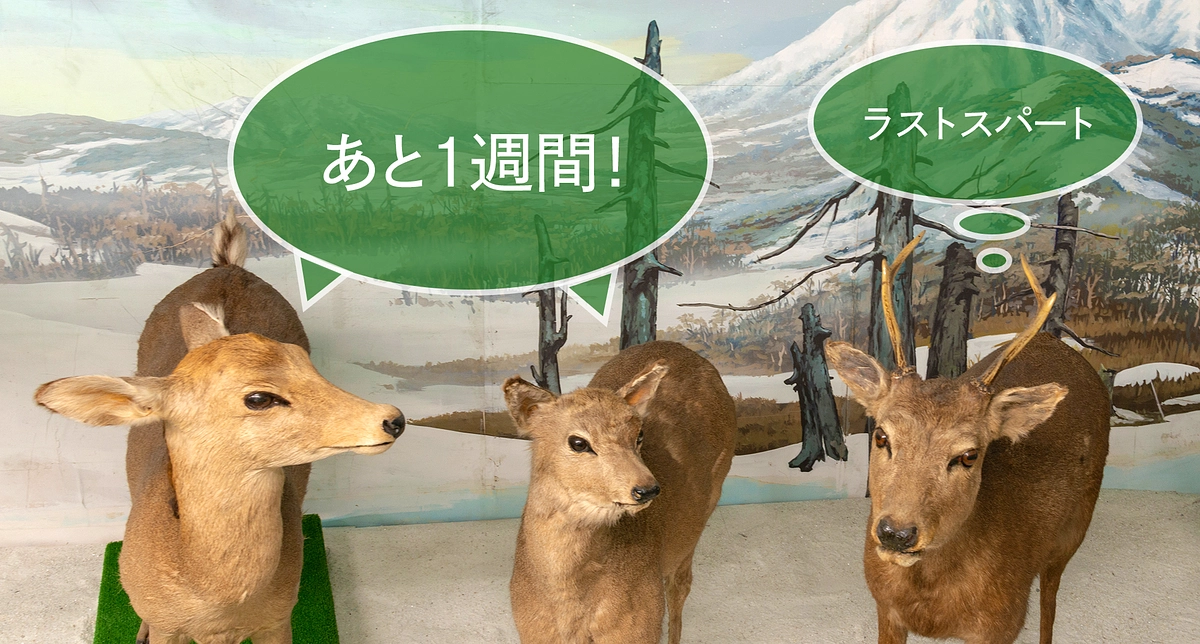 クラウドファンディングも残り7日を切りました！