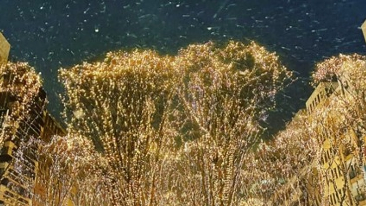 ２０２３ＳＥＮＤＡＩ光のページェント