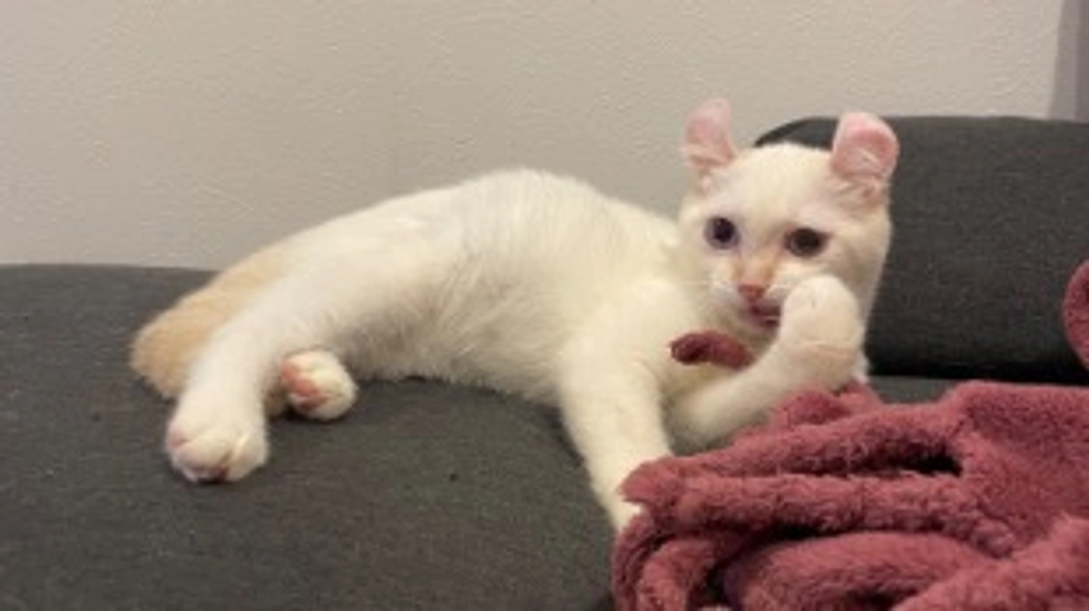 生後5ヶ月になりました🎂