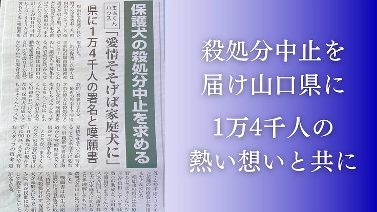 殺処分反対！周南の成犬を助けるため、第二のまあくんハウスを作りたい 7枚目