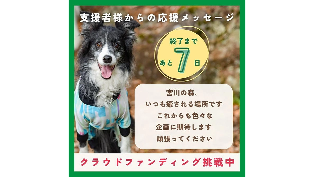 【あと7日間、最後までの応援・ご支援をお願いいたします！】