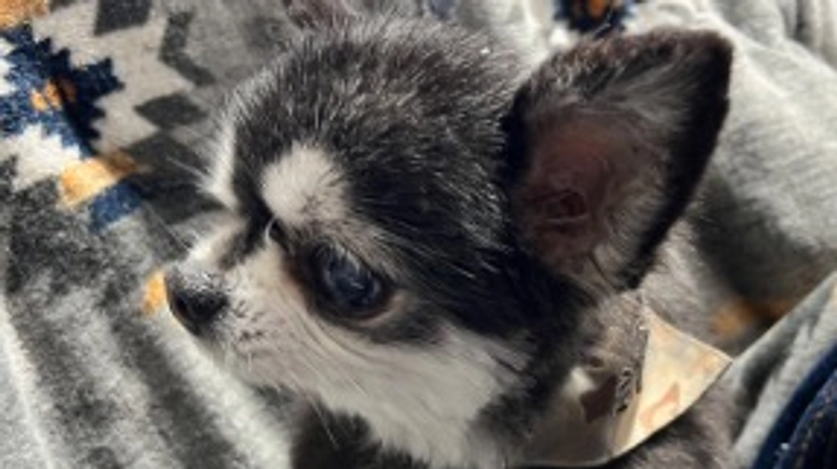 インスタにて拡散しています