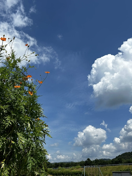 南丹市のアトリエにて