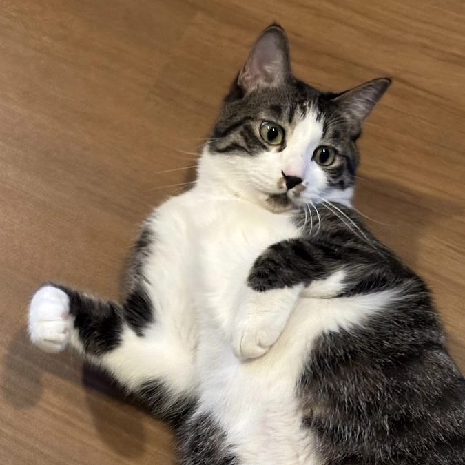 みなさまのおかげで完治しました。