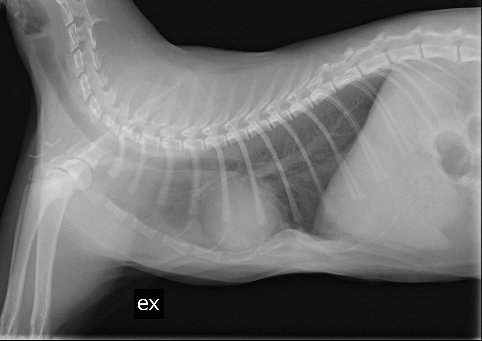 現状報告②検診結果をご報告します