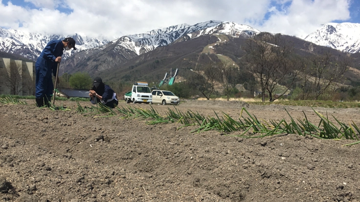 白馬村の自然を守ろう！【荒地の再生】環境保全プロジェクト！