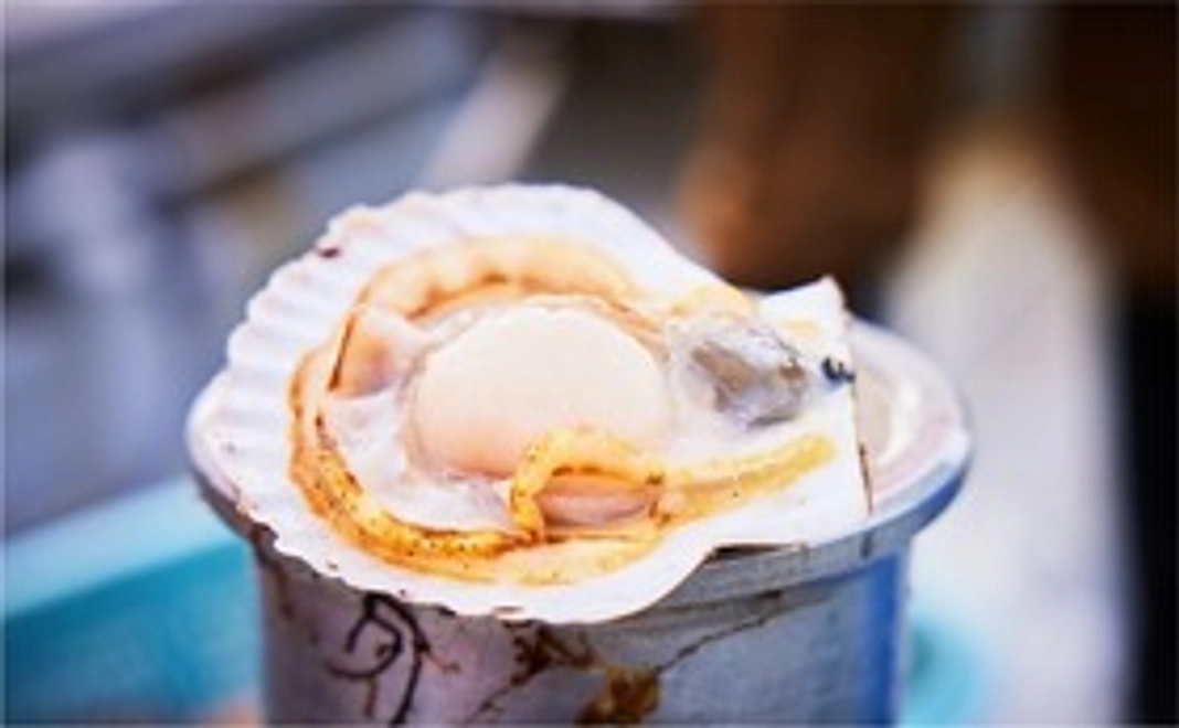 獲れたて瞬間冷凍ホタテ（殻なし）