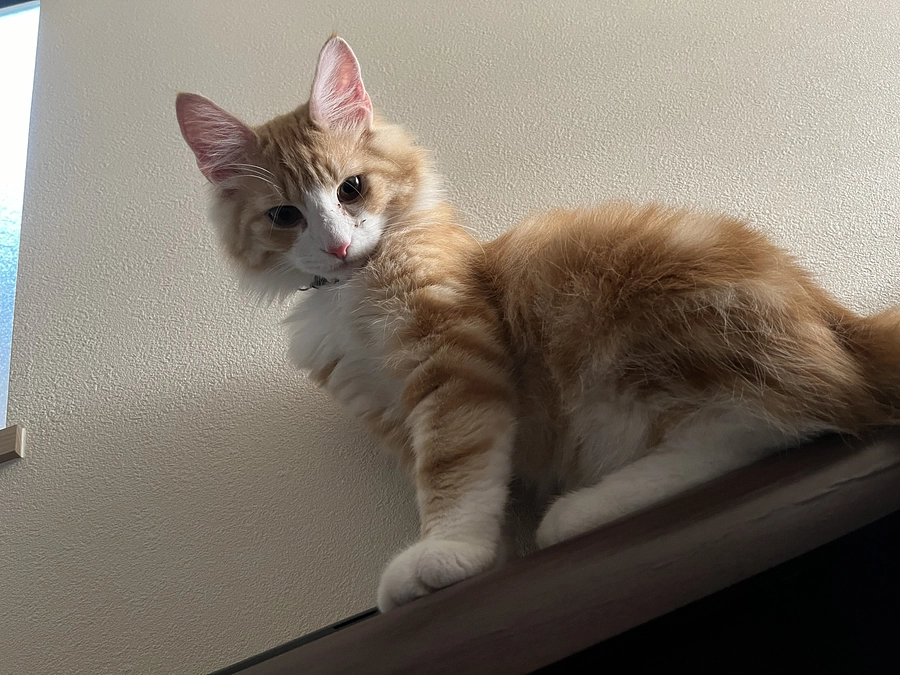 投薬55日目の様子