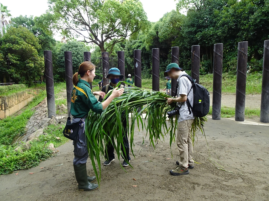 【実施しました】アジアの熱帯林で開園前のお仕事体験