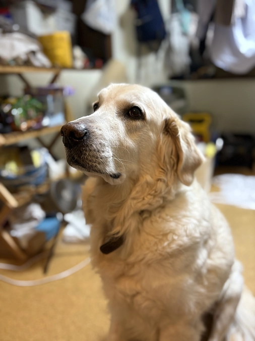 あと３日‼️(のこり39%)