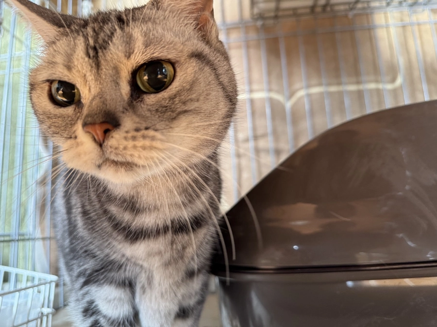 あけましておめでとうございます！