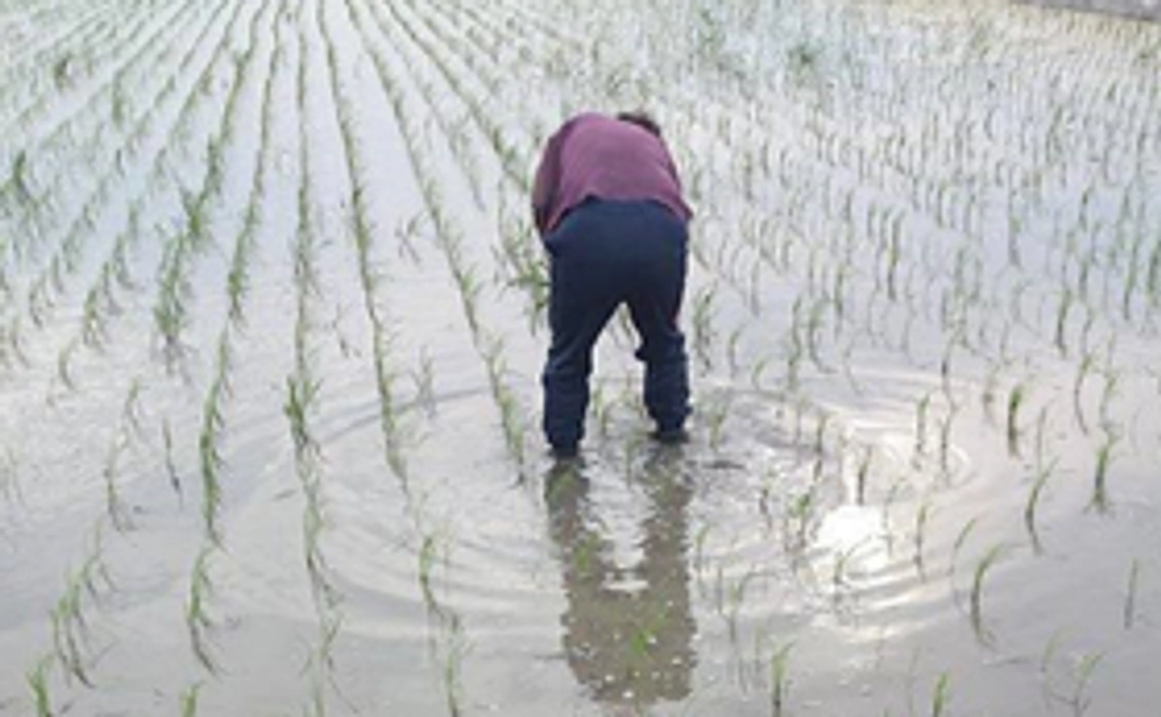 三瀬の自然入門コース