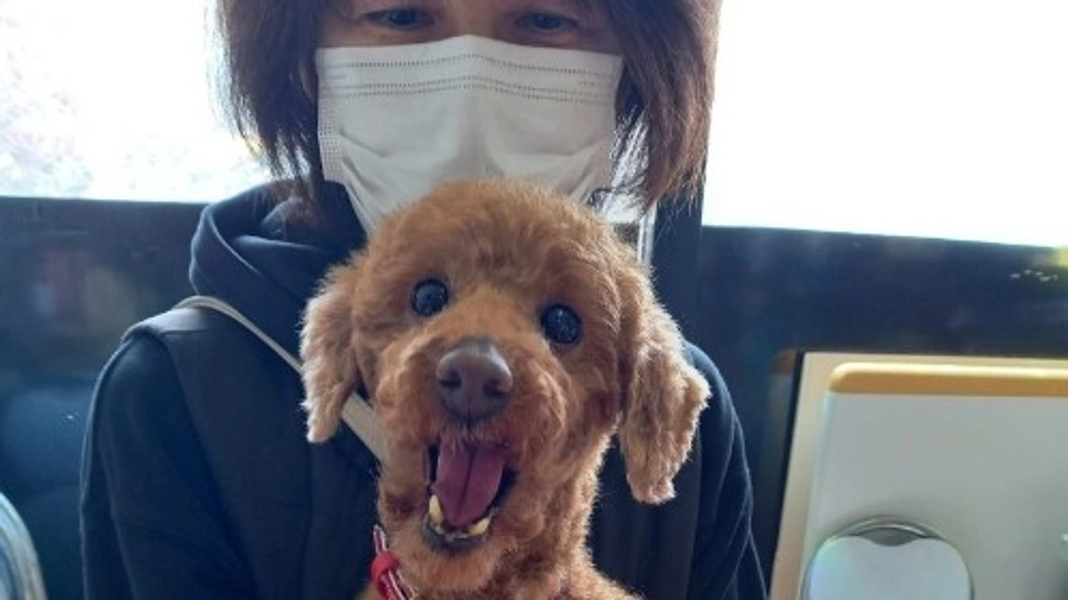 【届いてほしい！】シニアドッグ・サポーター制度とネクストゴールにかける想い（後編）