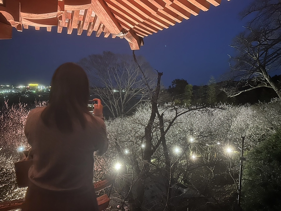 【残り3日】来年3月も梅のライトアップ開催します！