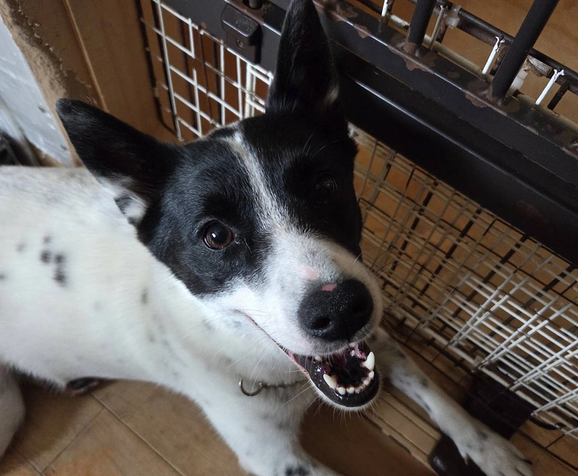 ボランティアの胸のうち　Nさんより