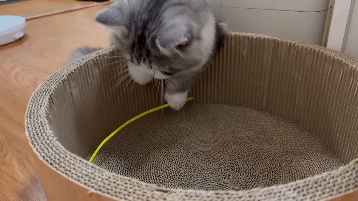 治療29、30日目のココロ