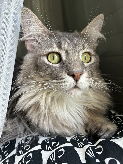 ⏰本日23:00まで／残り90分です⏰