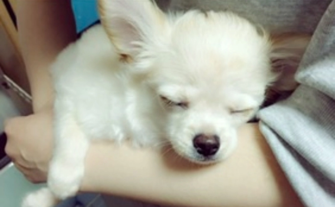 ご支援ありがとうございます(2,000円)