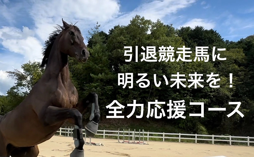 引退競走馬に明るい未来を　全力応援コース（5,000円）