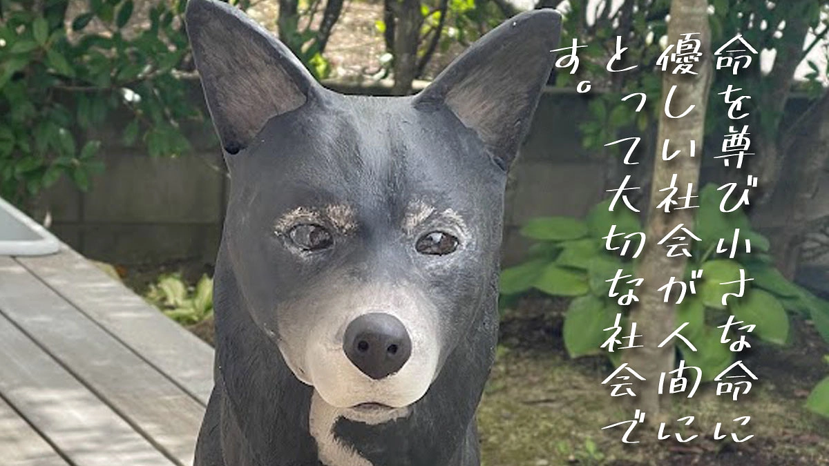 命を尊び、小さな命に優しい社会が、人間にとって大切な社会です。