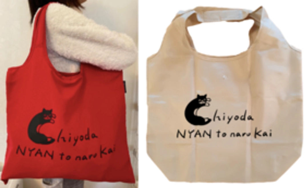 さかざきちはるさんデザインのオリジナルエコバッグコース