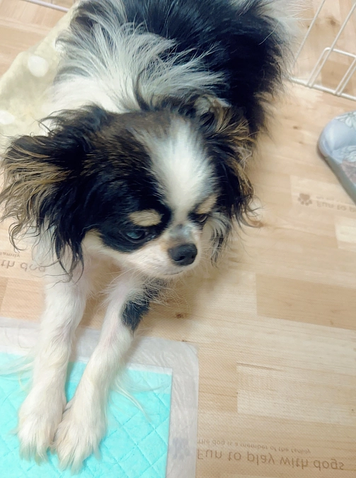 今日のたぁ坊ちゃん