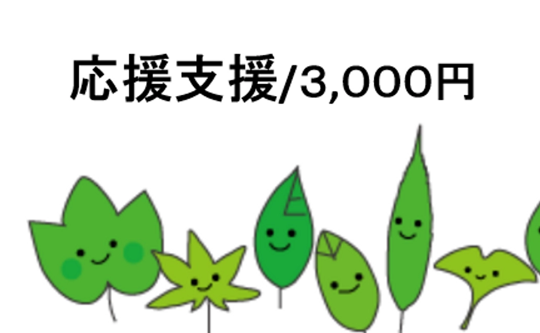 応援支援/3,000円