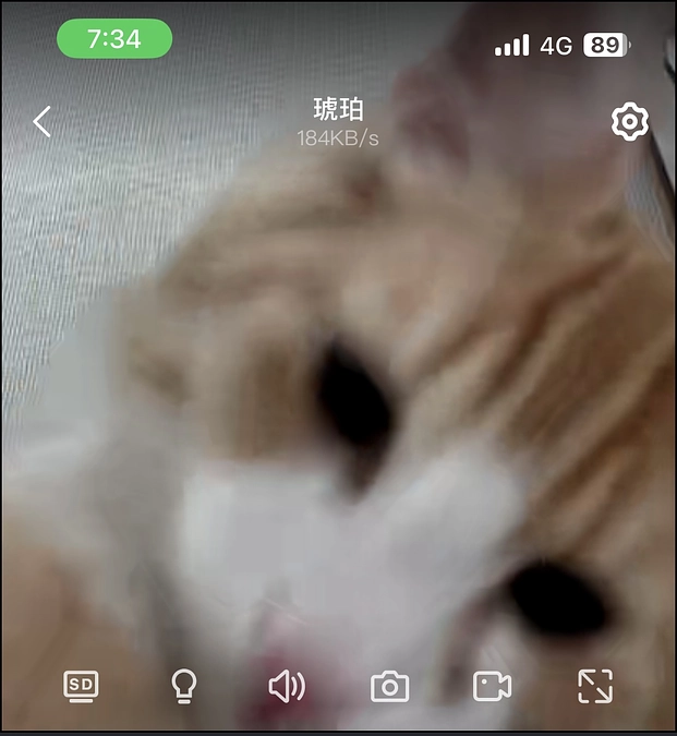 投薬57日目の様子