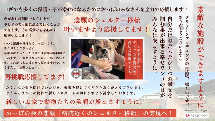 【緊急支援】おっぽの会の悲願「病院近くのシェルター移転」の実現へ! 7枚目