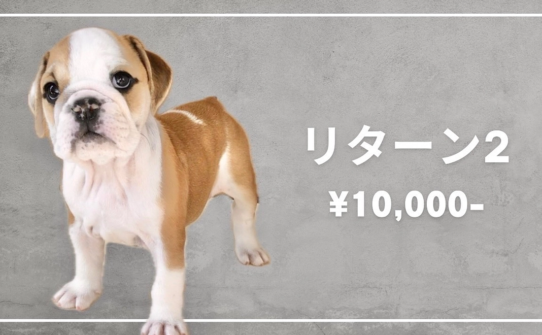 ぶるほむチケット¥1,000付きプラン