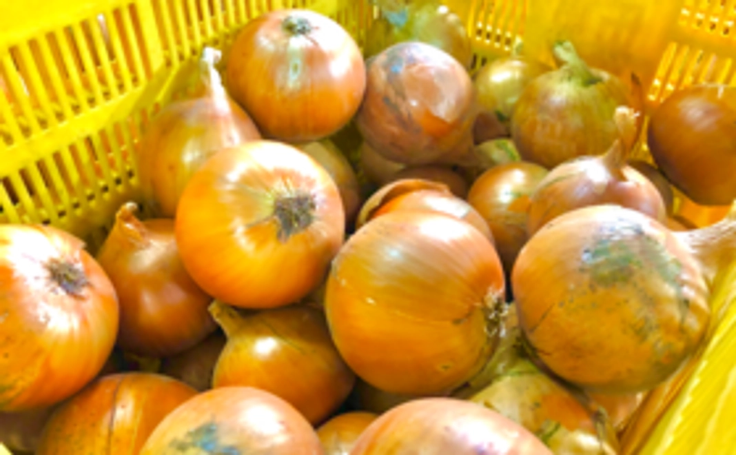 サンクスメール＋新タマ新ジャガ5kg