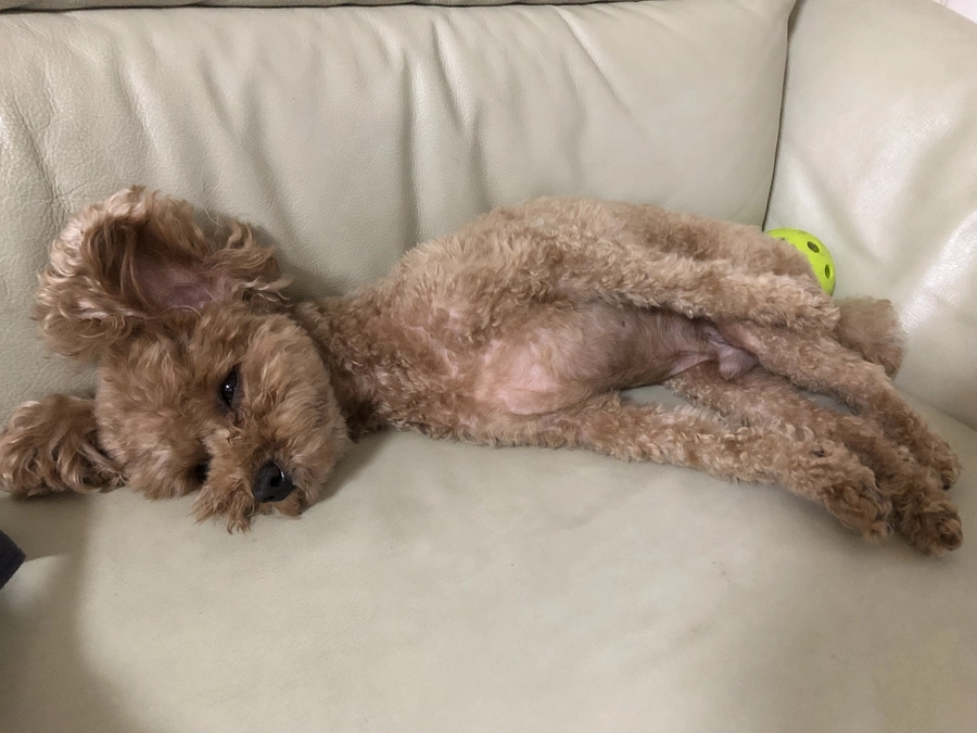 27日に外来予約済みです。