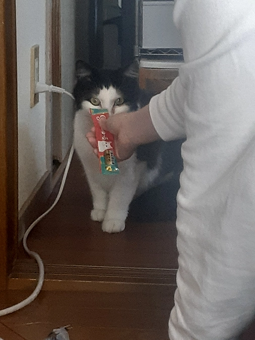 【うり君】宅へ家庭訪問してきました