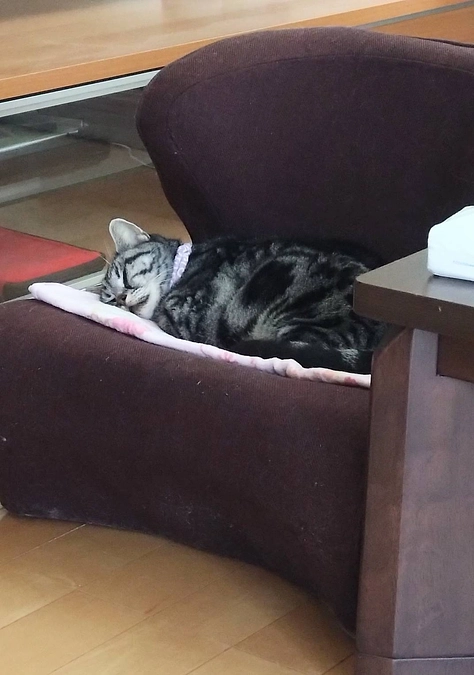 急きょ、病院へ行ってきました。