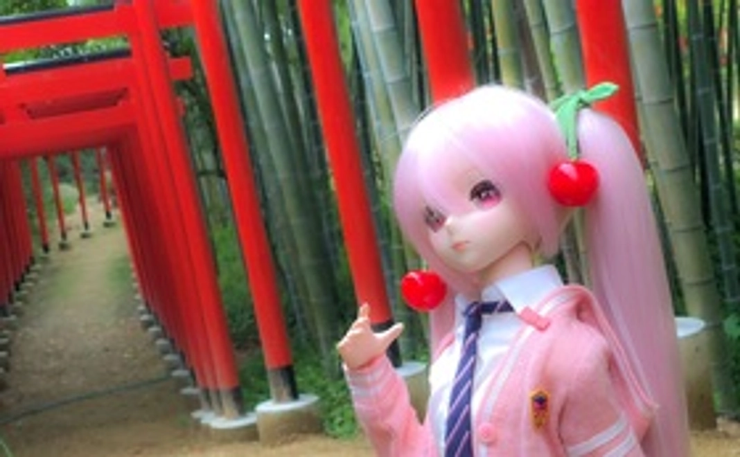 四国にあります100鳥居