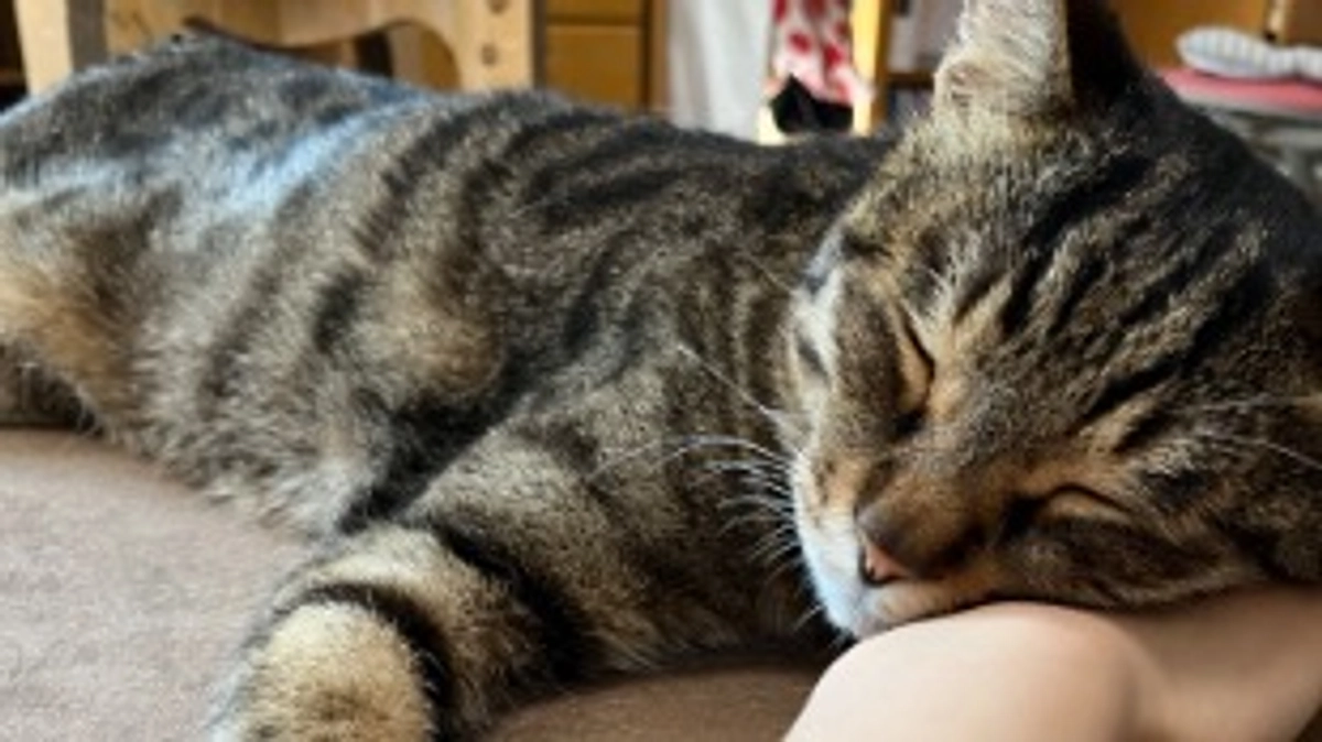 【今日のなっちゃん】5月16日