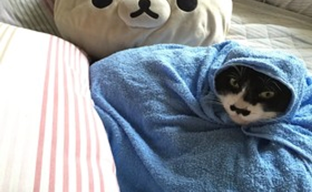 手作りチップちゃんデータアルバム