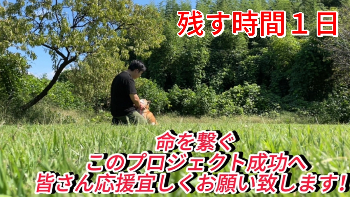 ラスト１日となります。