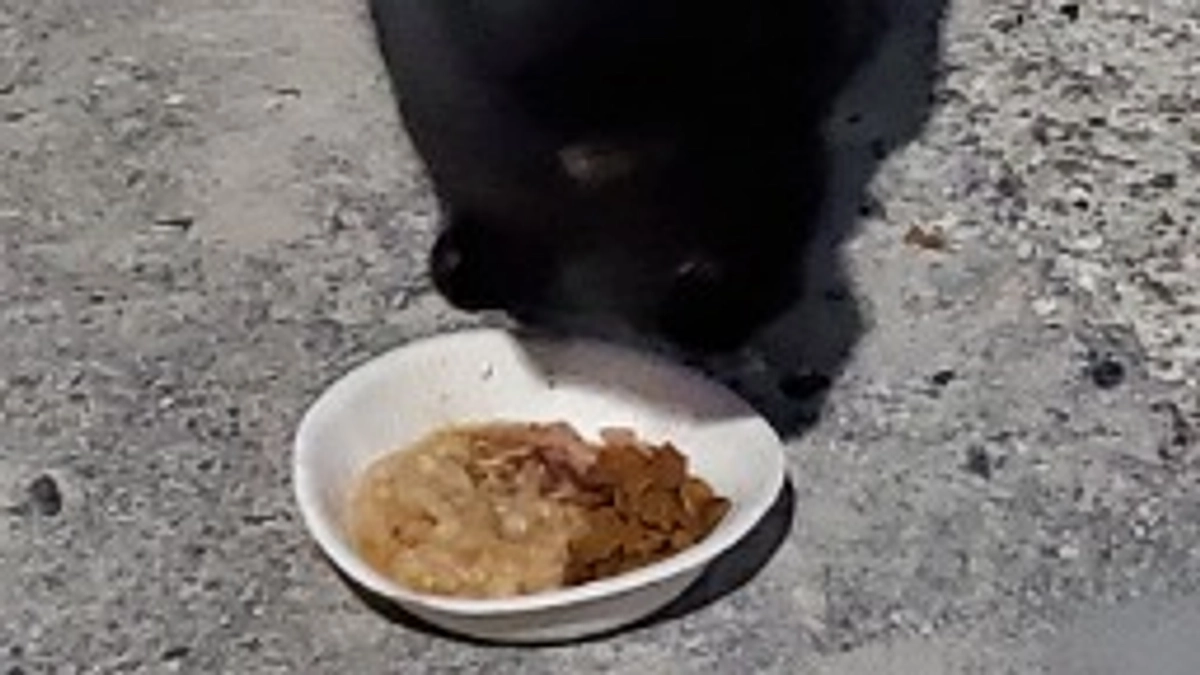 2/22 会えなくて心配していた子寒い中来てくれました。