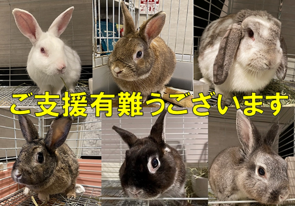 開設(2022年7月21日)から現在(8月18日)までの活動報告